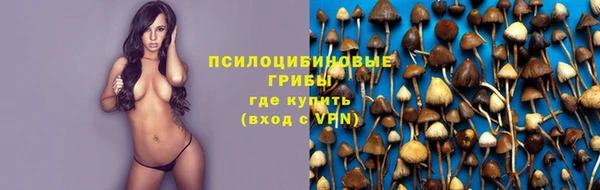 мет Абаза