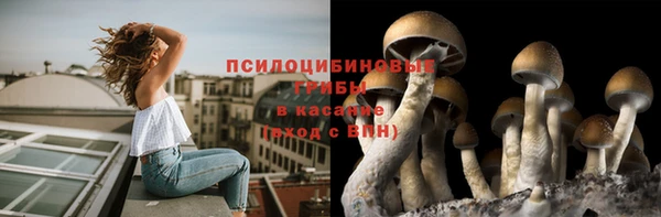 кристаллы Алексеевка